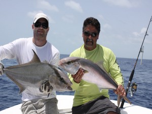 Vertical Jigging for Amberjack