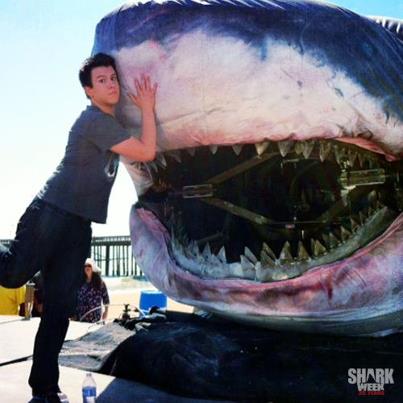 sharkzilla on discovery channel - jaws phobia - shark fears and myths