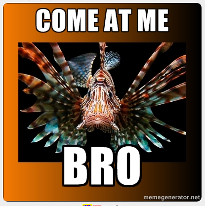 Come at me Bro! Lionfish Killer!