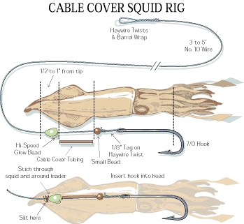 How to rig a squid for swordfish