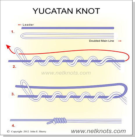 yucatan-knot.jpg