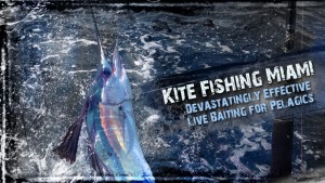Kite fishing Miami - tips, techniques, rig