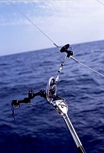 5 Fishing Poles Penn Reels & Assorted Hooks Swivels Lures More - sporting  goods - by owner - sale - craigslist