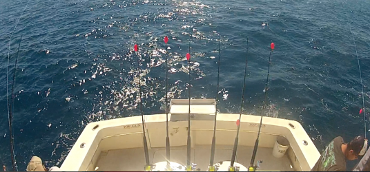 Kite Fishing Rods aboard the Top Gun of Miami, FL