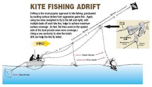 Basic Kite Fishing Rig