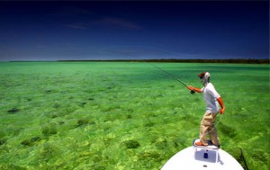 Miami Flats Fishing Biscayne Bay Fly Fishing