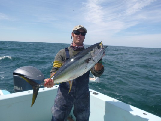 Coastal WorldWide, Ever wondered what a 200lb yellowfin tuna can do to a  popper 👀🔥🫣 #tunafishing #tuna #popping #fclebipop #tunatown  #fishingislife