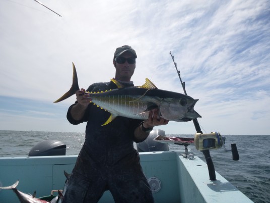 Capt. Charlie Ellis tagging and releasing a Yellowfin Tuna