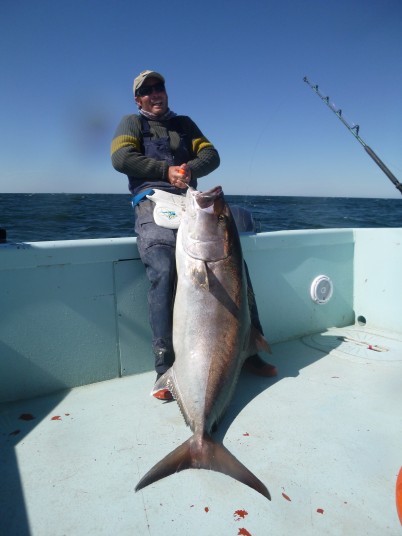 Capt. Charlie Ellis of Miami, FL with a Monster Amberjack!