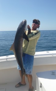 Cobia fishing in Miami