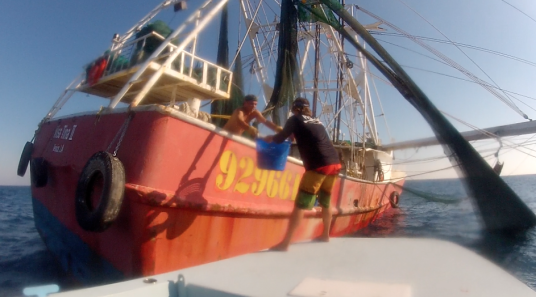Trading Tuna for Shrimp Boat ByCatch