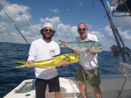 Mahi Mahi fishing charter Miami, FL 