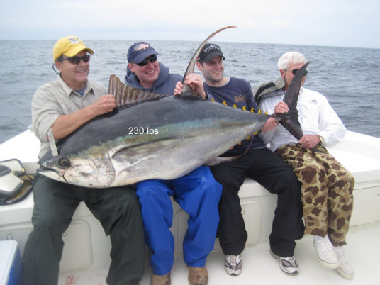 Scott Avanzino giant tuna