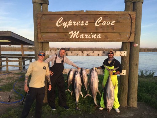Tuna on the board at Cypress Cove