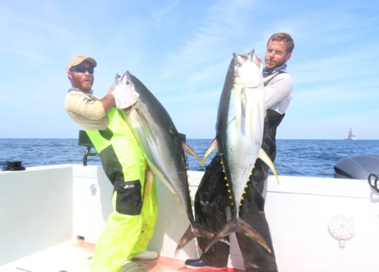 Fish Circus, Crazy story tuna fishing we snagged another line that not  only had a fish on it but it also had a beautiful Penn international on it.  We
