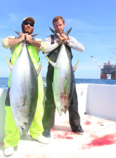 Capt Charlie Ellis & Capt Scott Virgin with yellowfin tuna