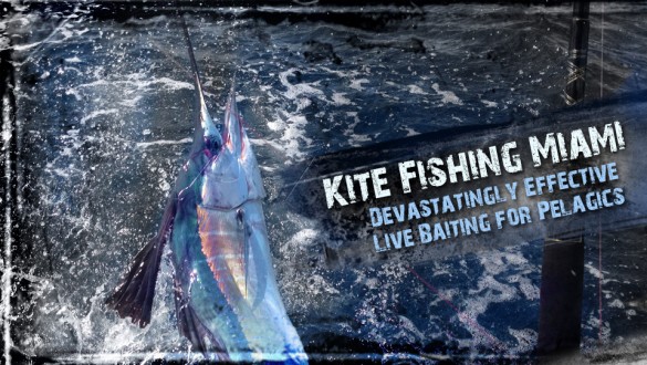 aftko kite fishing